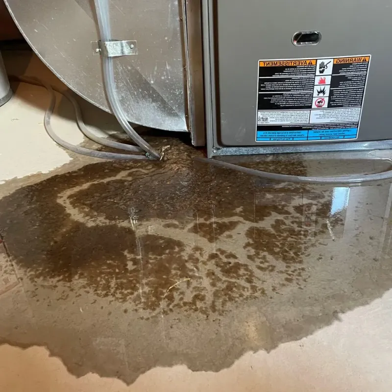 Pipe Burst and Leak Restoration in Elwood, IN