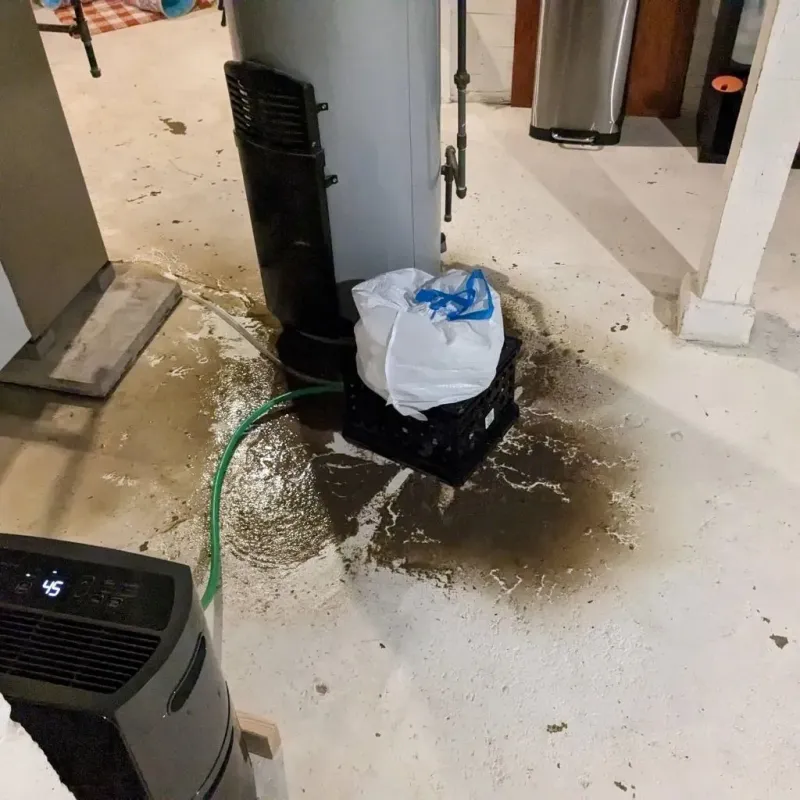 Sewage Backup Cleanup Service in Elwood, IN